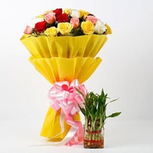 MIXED ROSES WITH BAMBOO PLANTS