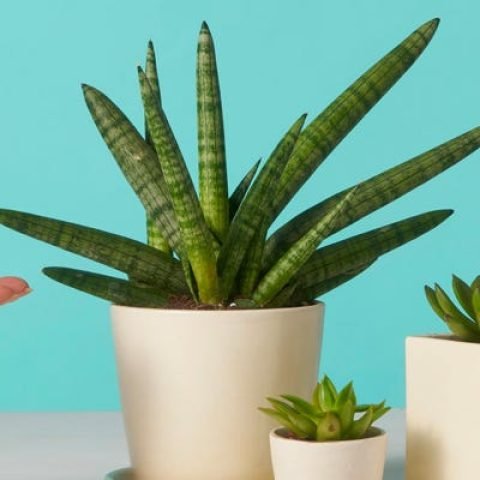 5d51a747cd9784564357ce04