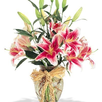 XX-FV-LOVELILI-00-PXX[1]