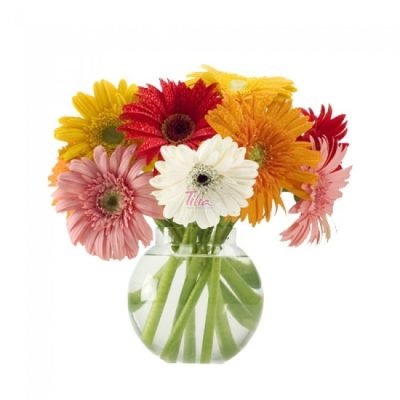 g003_natural_delight_5[1]