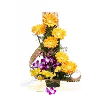 g005_complete_delight_4[1]