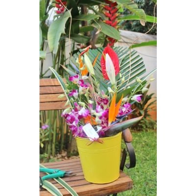 harvest_in_paradise[1]