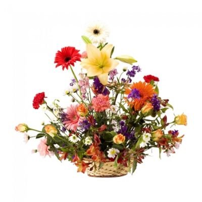 mf001_seasons_fresh[1]