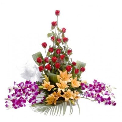 mf026_refreshing_paradise[1]