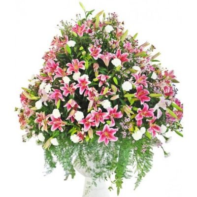 mf100_pink_galaxy_white_2[1]