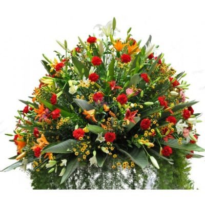 mf101_colour_burst_white[1]