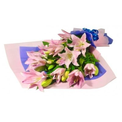 mystique_pink_1_edited[1]