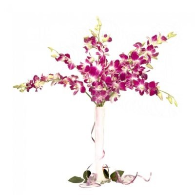 o003_pretty_woman[1]