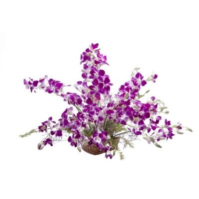 o011_treasure_basket_5[1]