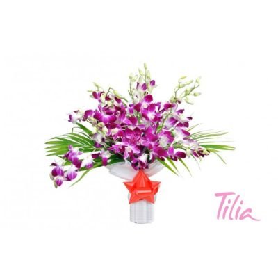 o012_orchid_surprise[1]