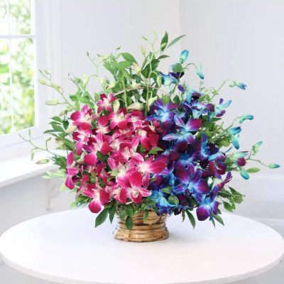 p-arrangement-of-10-blue-purple-orchids-in-a-basket-55122-m[1]