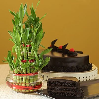 truffle-cake-n-three-layer-bamboo_1[1]